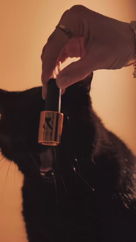 Cat Eye gellack med magnetisk effekt og synlig lysbevegelse i nyansene